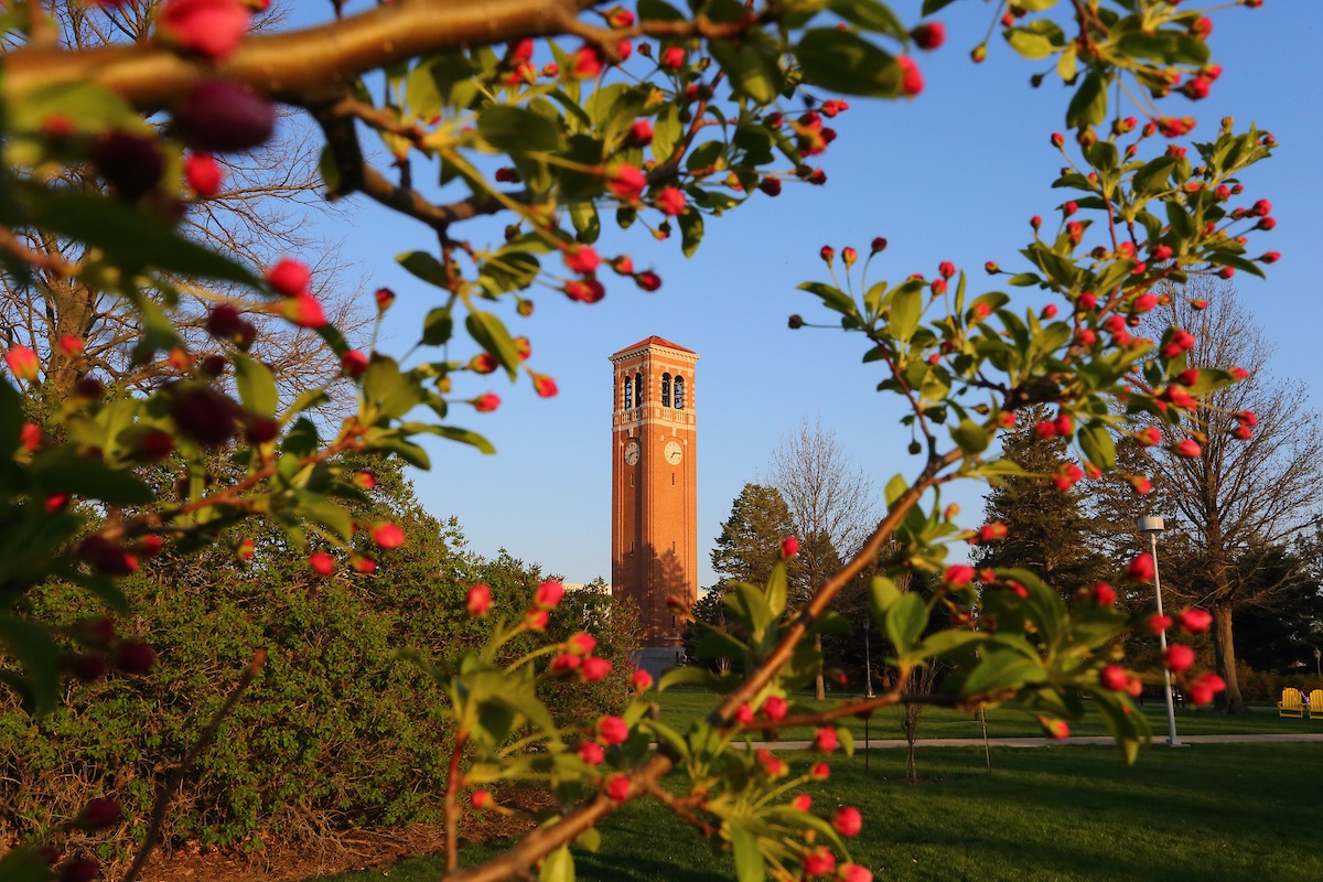 Campus Scene